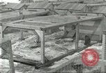 Image of fur industry United States USA, 1930, second 24 stock footage video 65675064360