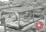 Image of fur industry United States USA, 1930, second 25 stock footage video 65675064360