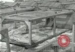 Image of fur industry United States USA, 1930, second 26 stock footage video 65675064360