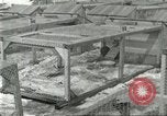 Image of fur industry United States USA, 1930, second 28 stock footage video 65675064360
