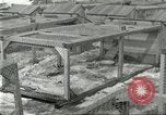 Image of fur industry United States USA, 1930, second 29 stock footage video 65675064360
