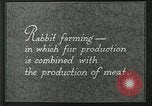 Image of fur industry United States USA, 1930, second 3 stock footage video 65675064361