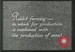 Image of fur industry United States USA, 1930, second 7 stock footage video 65675064361