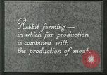 Image of fur industry United States USA, 1930, second 10 stock footage video 65675064361