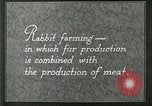 Image of fur industry United States USA, 1930, second 11 stock footage video 65675064361