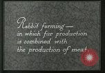 Image of fur industry United States USA, 1930, second 12 stock footage video 65675064361
