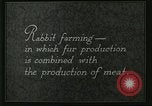 Image of fur industry United States USA, 1930, second 13 stock footage video 65675064361