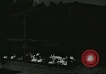 Image of fur industry United States USA, 1930, second 15 stock footage video 65675064361