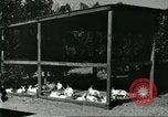 Image of fur industry United States USA, 1930, second 16 stock footage video 65675064361
