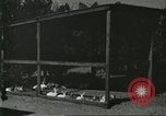 Image of fur industry United States USA, 1930, second 31 stock footage video 65675064361