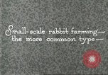 Image of fur industry United States USA, 1930, second 48 stock footage video 65675064361