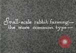 Image of fur industry United States USA, 1930, second 50 stock footage video 65675064361