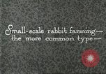 Image of fur industry United States USA, 1930, second 54 stock footage video 65675064361