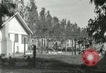 Image of fur industry United States USA, 1930, second 59 stock footage video 65675064361