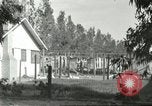 Image of fur industry United States USA, 1930, second 61 stock footage video 65675064361
