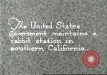 Standbild Pelzindustrie Southern California USA, 1930, aus Sekunde 1 historischem Filmmaterial Videoclip 65675064362