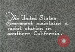 Standbild Pelzindustrie Southern California USA, 1930, aus Sekunde 4 historischem Filmmaterial Videoclip 65675064362