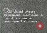 Standbild Pelzindustrie Southern California USA, 1930, aus Sekunde 5 historischem Filmmaterial Videoclip 65675064362
