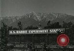 Standbild Pelzindustrie Southern California USA, 1930, aus Sekunde 13 historischem Filmmaterial Videoclip 65675064362