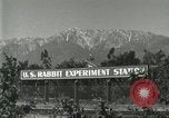 Standbild Pelzindustrie Southern California USA, 1930, aus Sekunde 14 historischem Filmmaterial Videoclip 65675064362