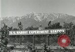 Standbild Pelzindustrie Southern California USA, 1930, aus Sekunde 15 historischem Filmmaterial Videoclip 65675064362