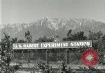 Standbild Pelzindustrie Southern California USA, 1930, aus Sekunde 16 historischem Filmmaterial Videoclip 65675064362
