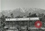 Standbild Pelzindustrie Southern California USA, 1930, aus Sekunde 17 historischem Filmmaterial Videoclip 65675064362