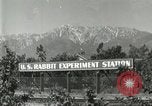Standbild Pelzindustrie Southern California USA, 1930, aus Sekunde 18 historischem Filmmaterial Videoclip 65675064362