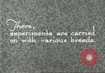Standbild Pelzindustrie Southern California USA, 1930, aus Sekunde 27 historischem Filmmaterial Videoclip 65675064362