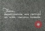 Standbild Pelzindustrie Southern California USA, 1930, aus Sekunde 32 historischem Filmmaterial Videoclip 65675064362