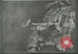 Standbild Pelzindustrie Ohio United States USA, 1930, aus Sekunde 3 historischem Filmmaterial Videoclip 65675064363