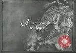 Standbild Pelzindustrie Ohio United States USA, 1930, aus Sekunde 4 historischem Filmmaterial Videoclip 65675064363