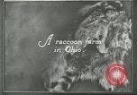 Standbild Pelzindustrie Ohio United States USA, 1930, aus Sekunde 5 historischem Filmmaterial Videoclip 65675064363