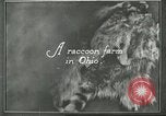 Standbild Pelzindustrie Ohio United States USA, 1930, aus Sekunde 6 historischem Filmmaterial Videoclip 65675064363