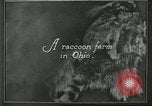Standbild Pelzindustrie Ohio United States USA, 1930, aus Sekunde 7 historischem Filmmaterial Videoclip 65675064363