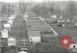 Standbild Pelzindustrie Ohio United States USA, 1930, aus Sekunde 16 historischem Filmmaterial Videoclip 65675064363