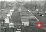 Standbild Pelzindustrie Ohio United States USA, 1930, aus Sekunde 17 historischem Filmmaterial Videoclip 65675064363