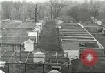Standbild Pelzindustrie Ohio United States USA, 1930, aus Sekunde 18 historischem Filmmaterial Videoclip 65675064363