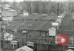 Standbild Pelzindustrie Ohio United States USA, 1930, aus Sekunde 21 historischem Filmmaterial Videoclip 65675064363