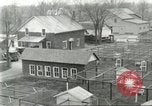 Standbild Pelzindustrie Ohio United States USA, 1930, aus Sekunde 26 historischem Filmmaterial Videoclip 65675064363
