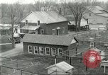 Standbild Pelzindustrie Ohio United States USA, 1930, aus Sekunde 28 historischem Filmmaterial Videoclip 65675064363