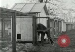 Standbild Pelzindustrie Ohio United States USA, 1930, aus Sekunde 42 historischem Filmmaterial Videoclip 65675064363