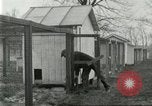 Standbild Pelzindustrie Ohio United States USA, 1930, aus Sekunde 43 historischem Filmmaterial Videoclip 65675064363