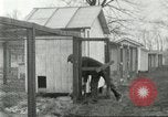 Standbild Pelzindustrie Ohio United States USA, 1930, aus Sekunde 44 historischem Filmmaterial Videoclip 65675064363