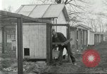 Standbild Pelzindustrie Ohio United States USA, 1930, aus Sekunde 45 historischem Filmmaterial Videoclip 65675064363