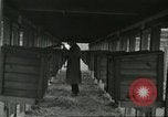 Standbild Pelzindustrie Ohio United States USA, 1930, aus Sekunde 48 historischem Filmmaterial Videoclip 65675064363