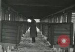 Standbild Pelzindustrie Ohio United States USA, 1930, aus Sekunde 49 historischem Filmmaterial Videoclip 65675064363