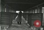 Standbild Pelzindustrie Ohio United States USA, 1930, aus Sekunde 51 historischem Filmmaterial Videoclip 65675064363