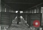 Standbild Pelzindustrie Ohio United States USA, 1930, aus Sekunde 52 historischem Filmmaterial Videoclip 65675064363