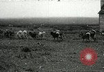 Standbild Claude Huston Arctic Saint Paul Island, 1922, aus Sekunde 1 historischem Filmmaterial Videoclip 65675064367